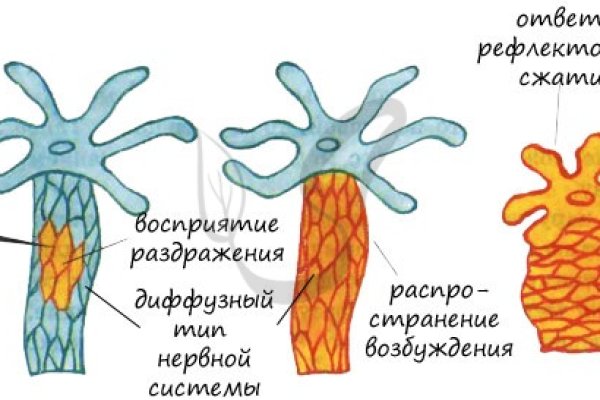 Кракен обход