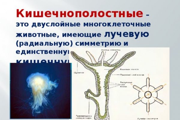 Кракен интернет площадка