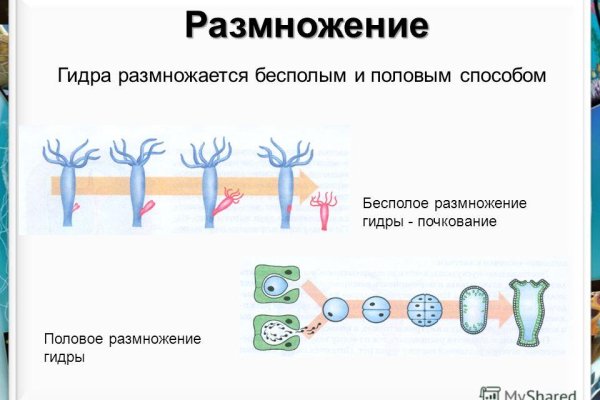 Кракен макет даркнет только через тор